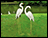 Cranes Garden Decoration