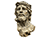 Decorative Crown of Thorns Christ Bust