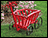 Deluxe Goat Wagon