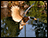 Gliding Duck Garden Decoration