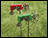 Farmer's Pride Wind Spinner