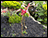 Flamingo Flying Garden Balancer