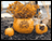 Concrete Stone Thanksgiving Pumpkin Planter (Set of 3)