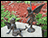 Mystical Garden Fairies (Set of 2)