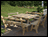 Treated Pine Wide Picnic Table w/4 Backed Benches