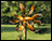 Radiant Harbor Wind Spinner