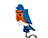 Treated Pine Bluebird Birdhouse