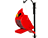 Treated Pine Cardinal Birdfeeder