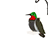 Treated Pine Hummingbird Birdfeeder