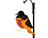 Treated Pine Oriole Birdfeeder