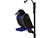 Treated Pine Raven Birdfeeder