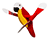 Red Parrot Whirly Bird Spinner