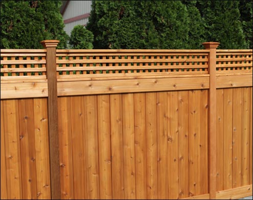 Custom Fence