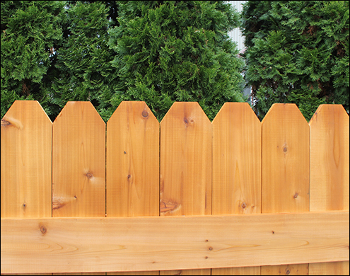 Close up of  Western Red Cedar Dog Eared Style fence shown with Cedar Stain/Sealer.<br/> (Also available in treated pine)