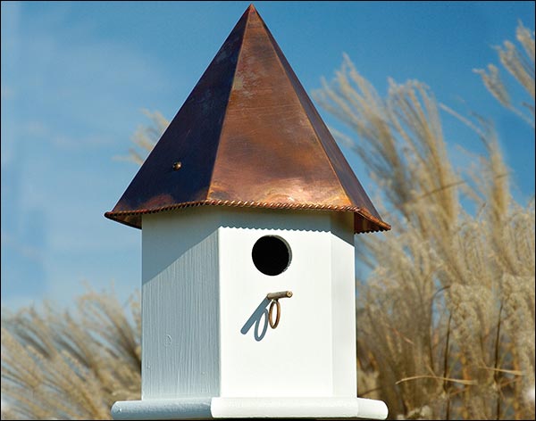 Passerine Deluxe Birdhouse