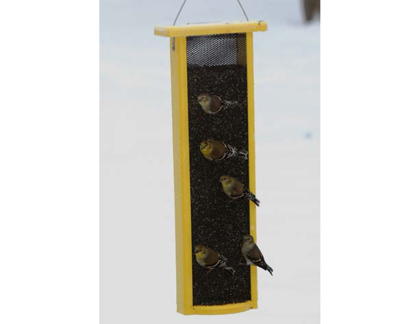 3 Quart Finch Feeder