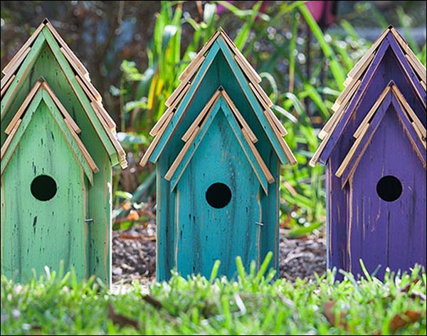 Cypress Vivid Bluebird House