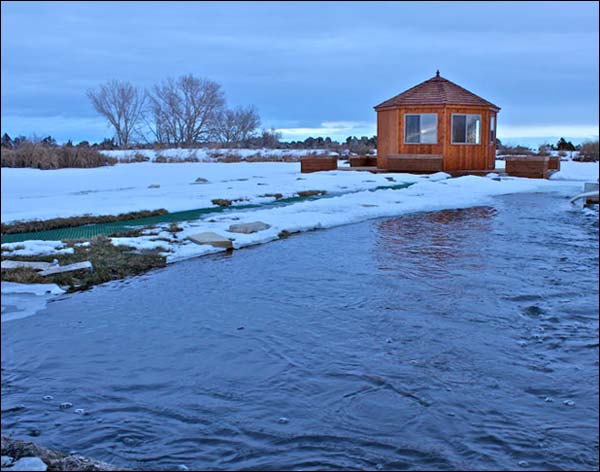 Red Cedar Octagon Cabanas