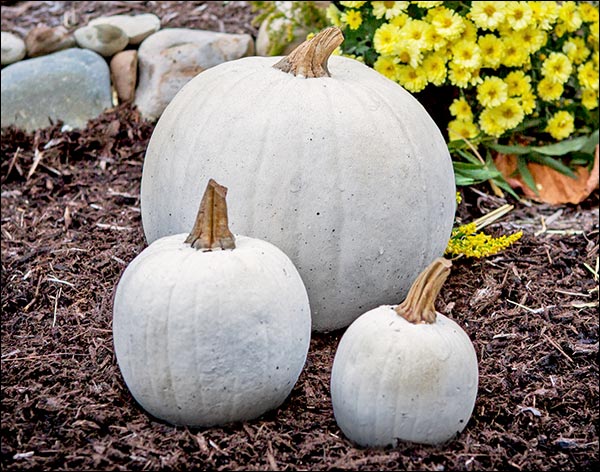 Concrete Stone Fall Pumpkins (Set of 3)