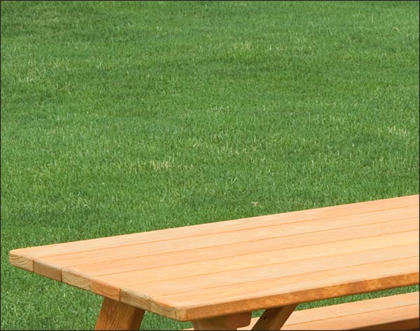 Cypress Kids Picnic Table