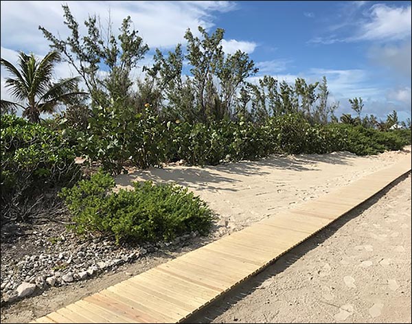 3 Wide Treated Pine Roll-Up Walkway