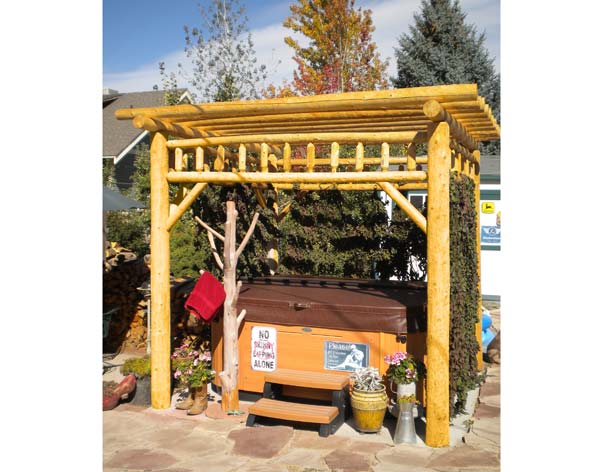 Rustic Garden Pergola