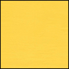 Canary Yellow Paint